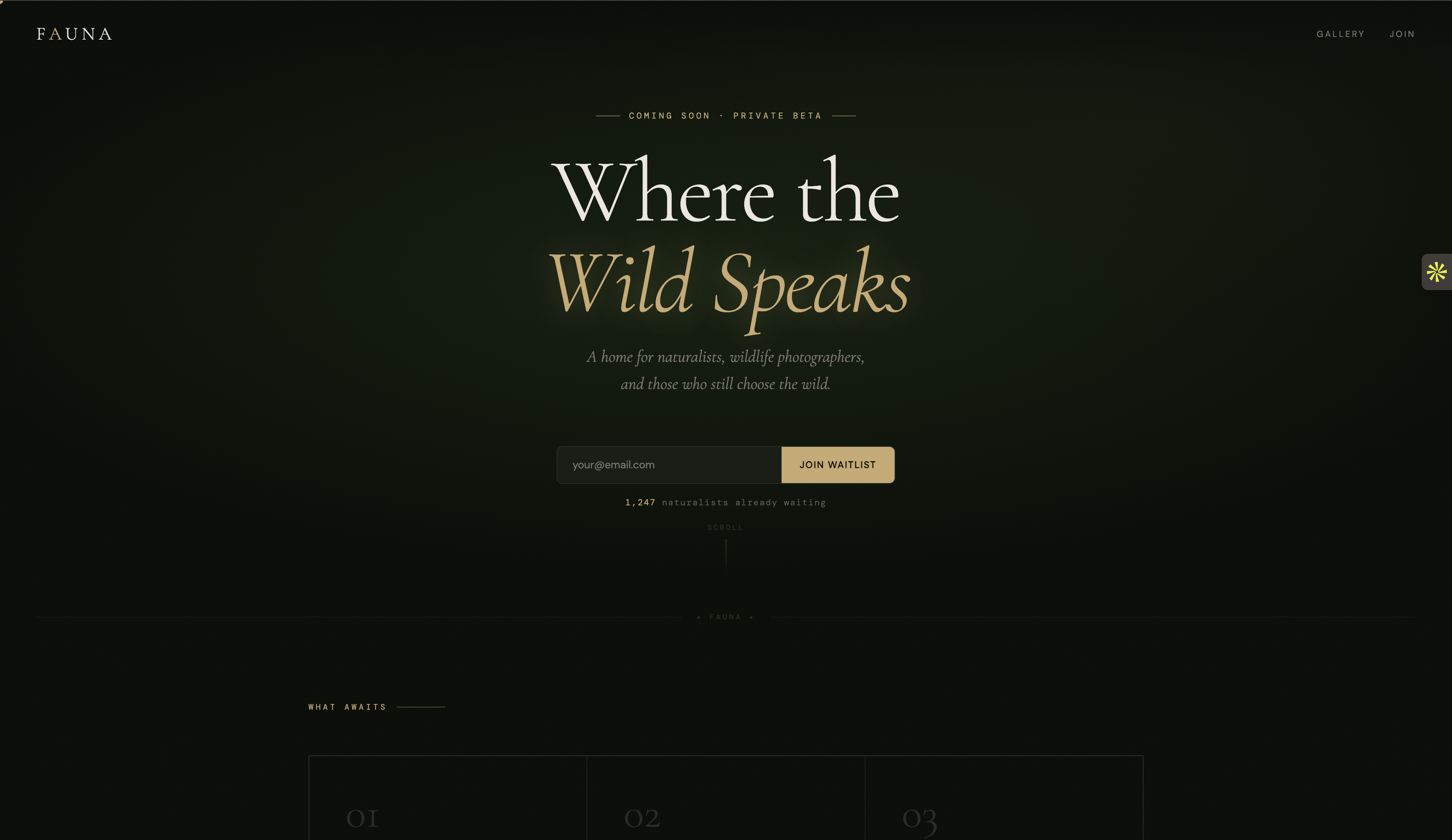 Fauna - Wildlife Social Media